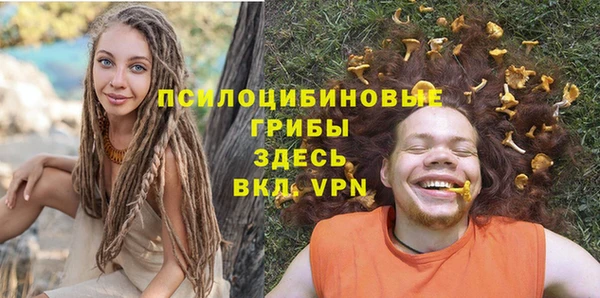 spice Алексеевка